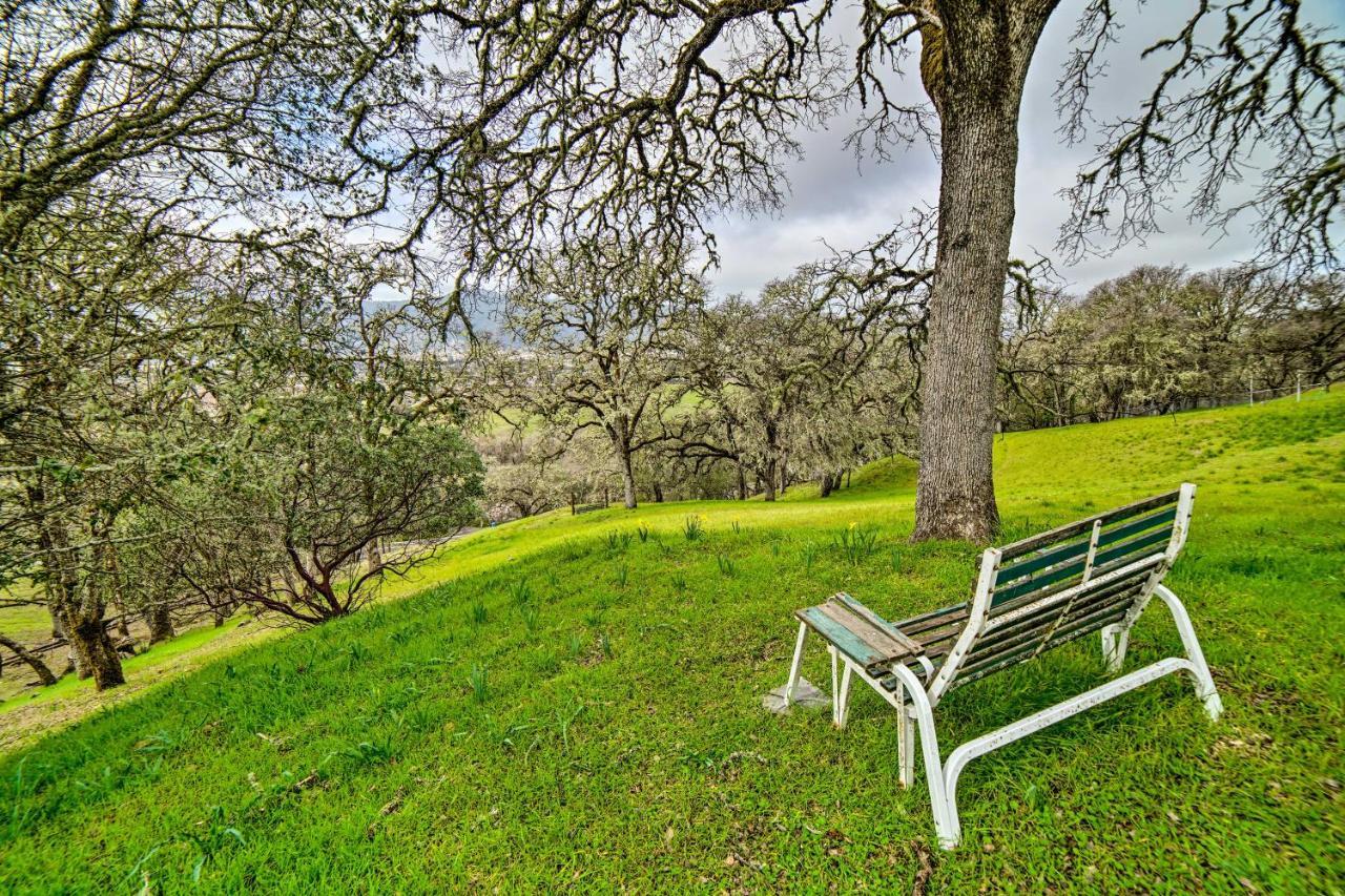 Hilltop Loft Ukiah Vacation Rental! ภายนอก รูปภาพ